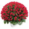 300 roses bouquet